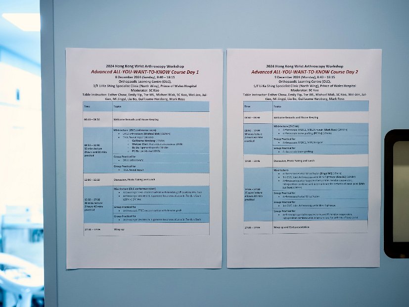 HK Wrist Course 2024 - Workshops  - 10 of 241